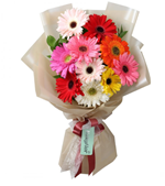 Ramo de 10 Gerberas