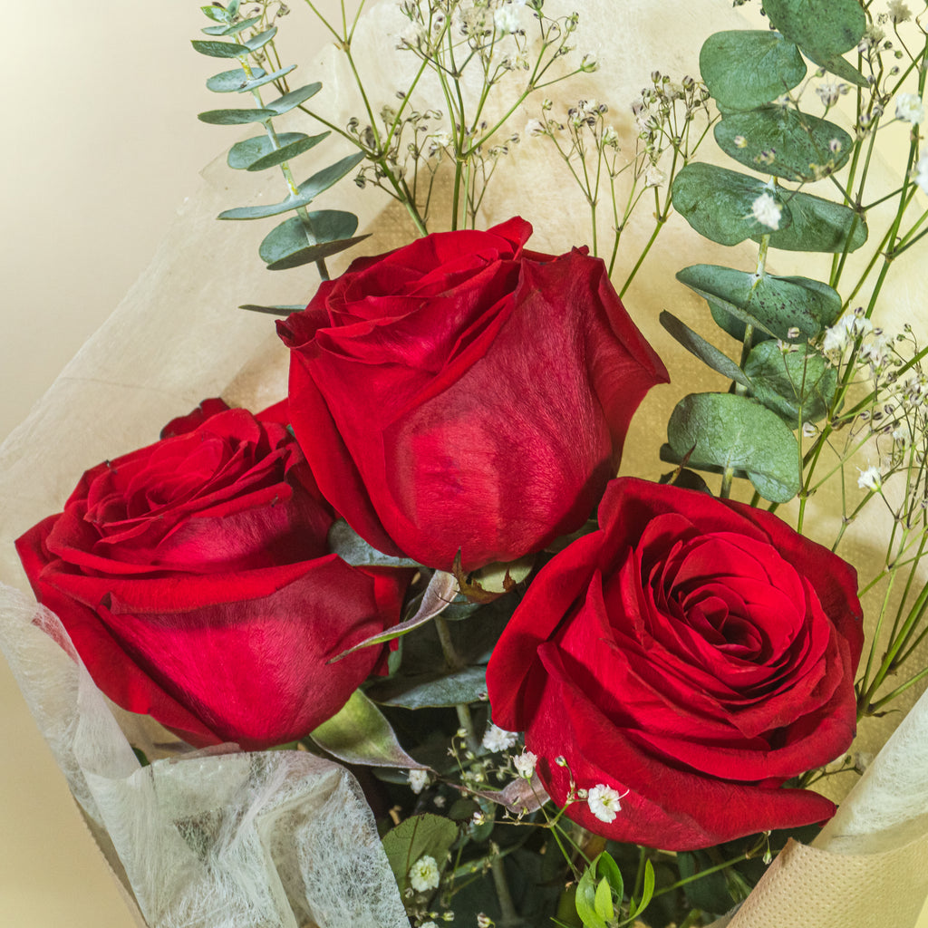 Ramo Petit de Rosas rojas