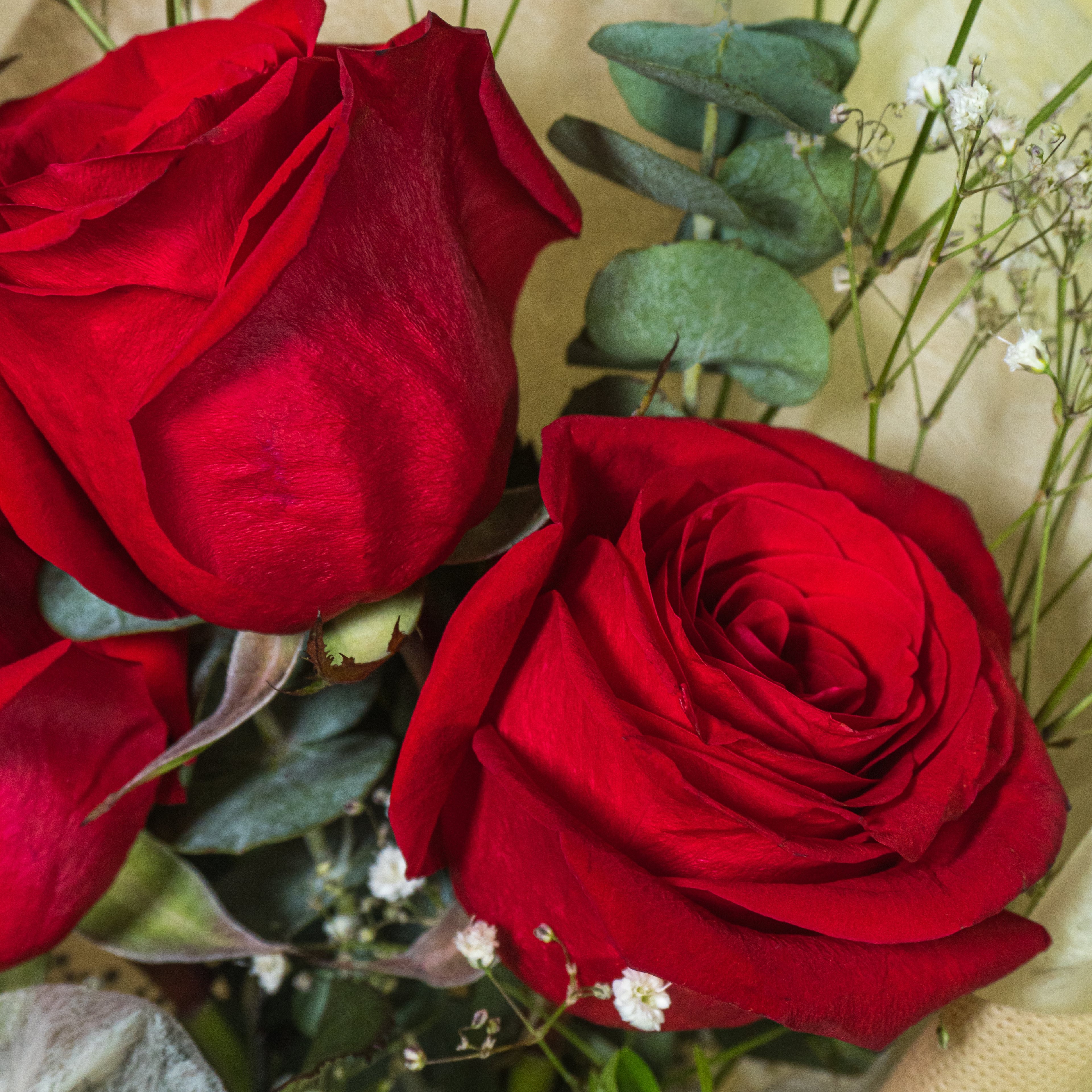 Ramo Petit de Rosas rojas