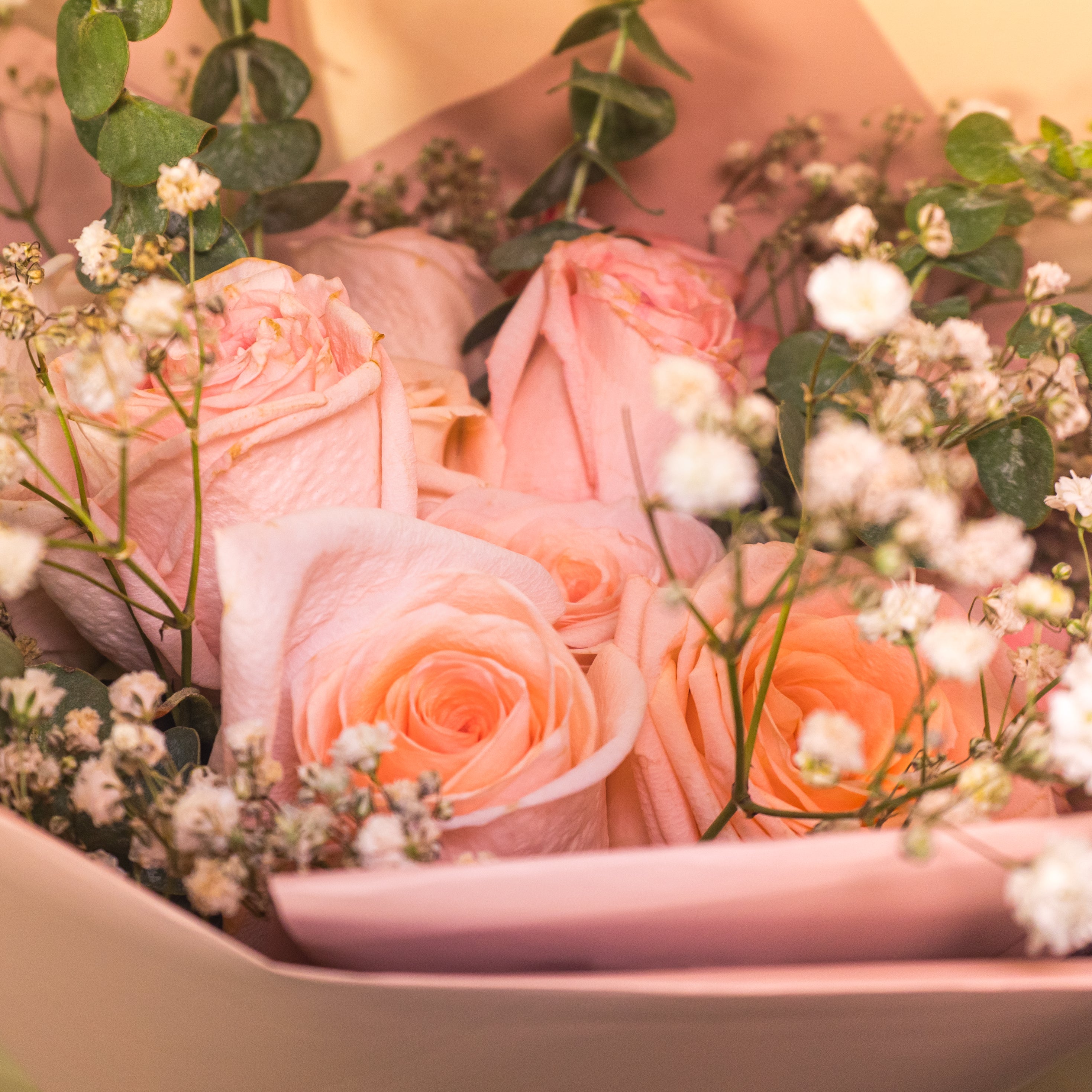 Ramo de 12 Rosas rosadas