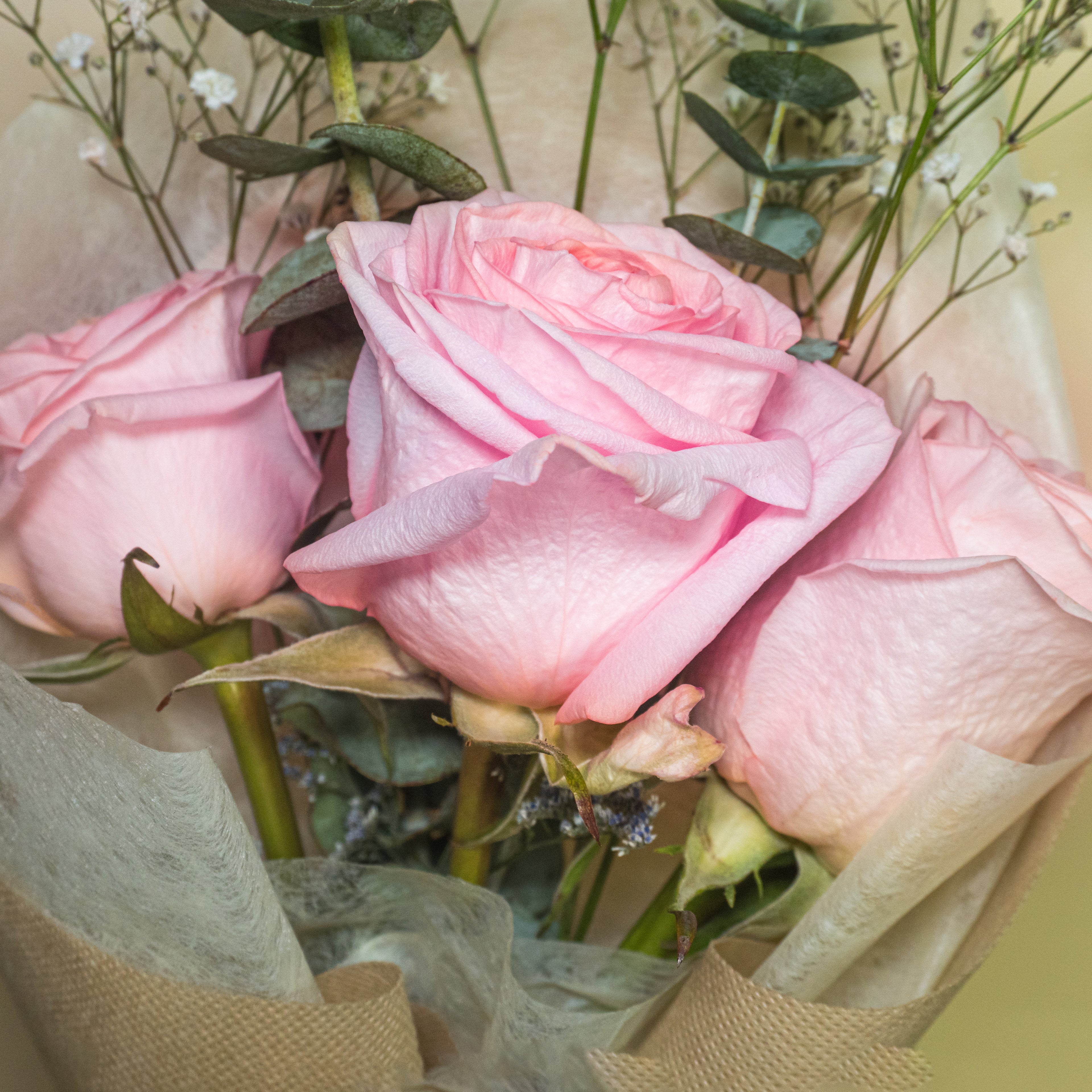 Ramo Petit de Rosas rosadas