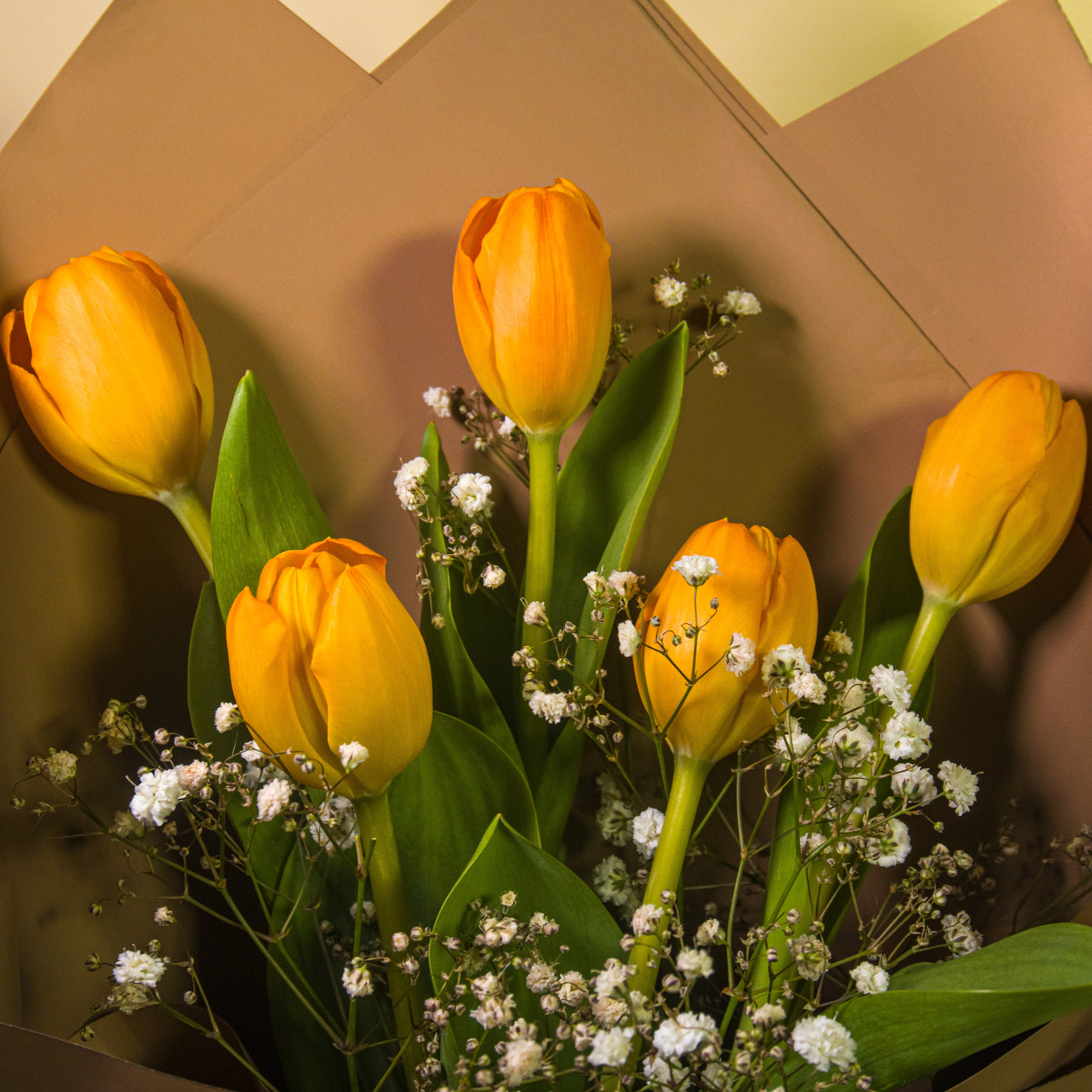 Ramo Tulipanes