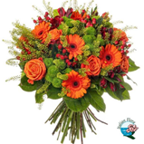 Box Garden naranja